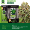 Igrowcan – Green Gelato Automatic